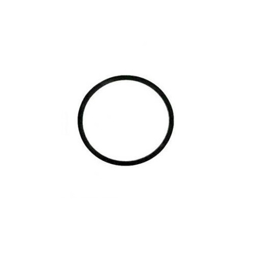 Binks 83-1419 Replacement Paint Canister Gasket image number 0