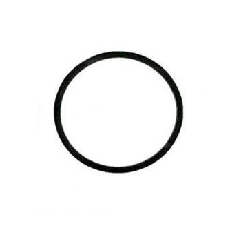 Binks 83-1419 Replacement Paint Canister Gasket
