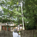 Pole Saws | Sun Joe SWJ803E 8 Amp 10 in. Multi-Angle Pole Chain Saw (Green) image number 3