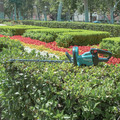 Makita GHU01Z 40V max XGT Brushless Lithium-Ion 24 in. Cordless Rough Cut Hedge Trimmer (Tool Only) image number 7
