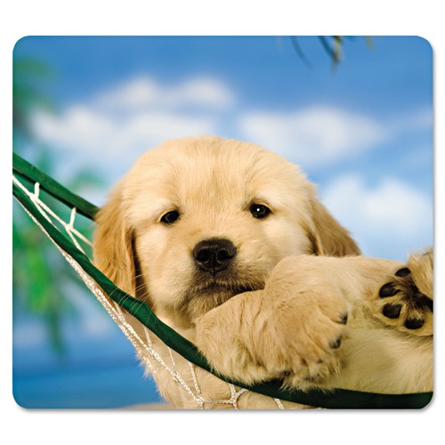 New Arrivals | Fellowes Mfg Co. 5913901 Recycled Mouse Pad, Nonskid Base, 9 X 8 X 1/16, Puppy In Hammock image number 0