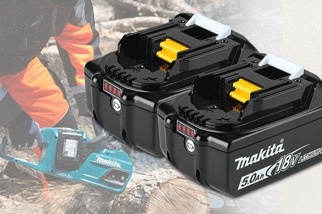 FREE Makita 2-Piece 18V LXT 5 Ah Batteries